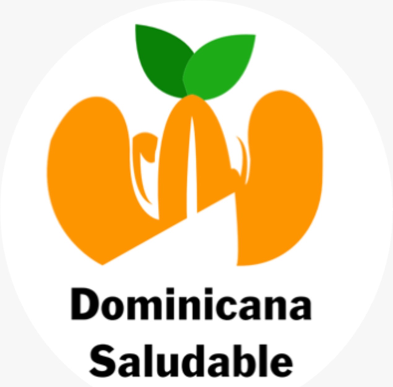 Dominicana Saludable denuncia sectores de la industria nacional presionan para que no se implemente etiquetado frontal de alimentos