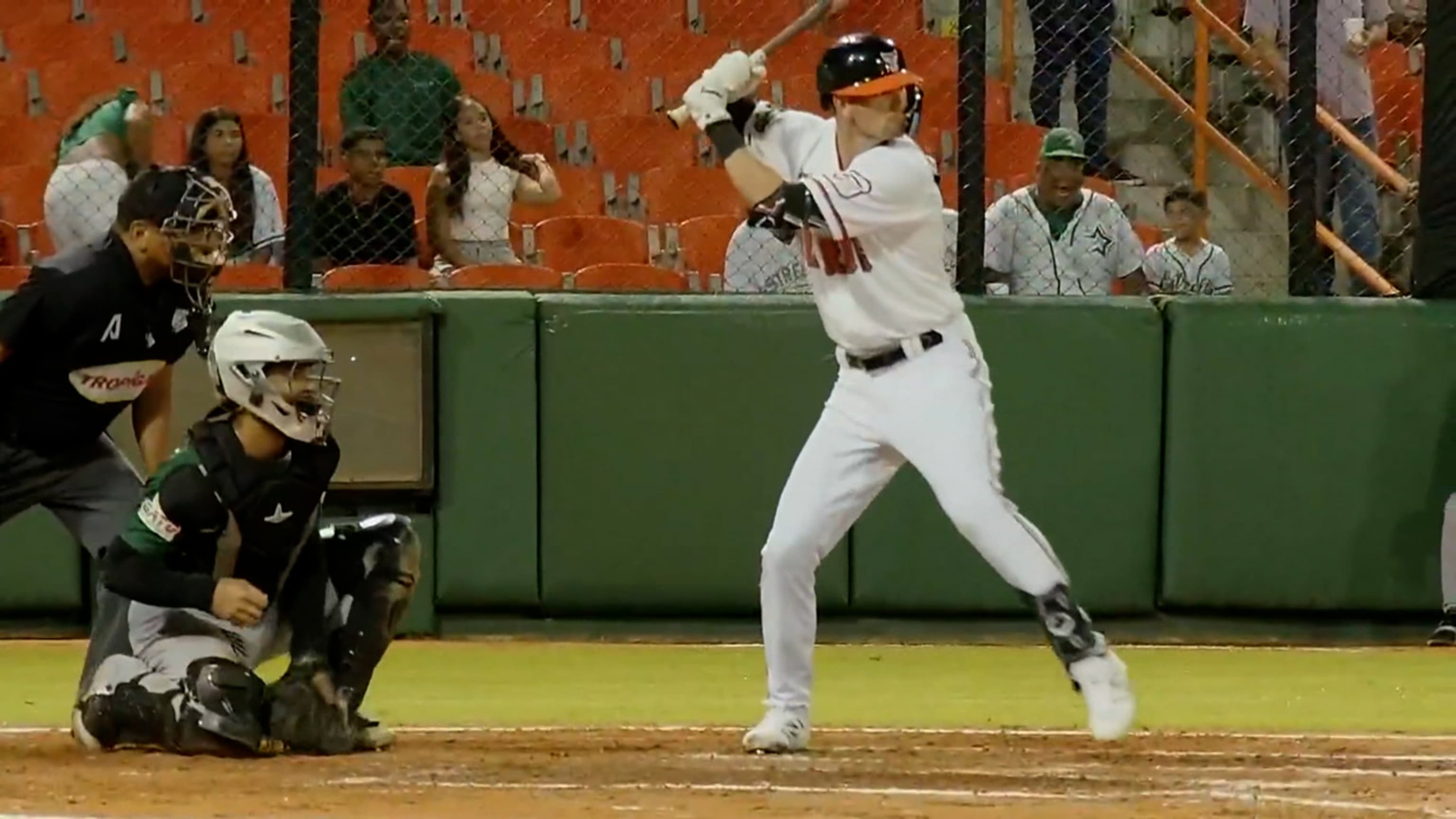 Oliva pega doble productor