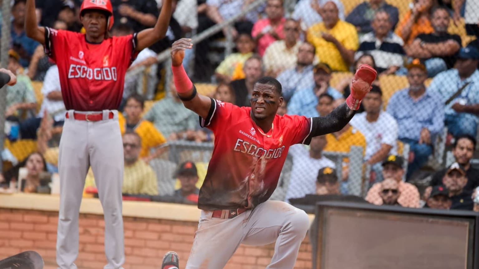 Greene guía sexto triunfo del Escogido en el Round Robin