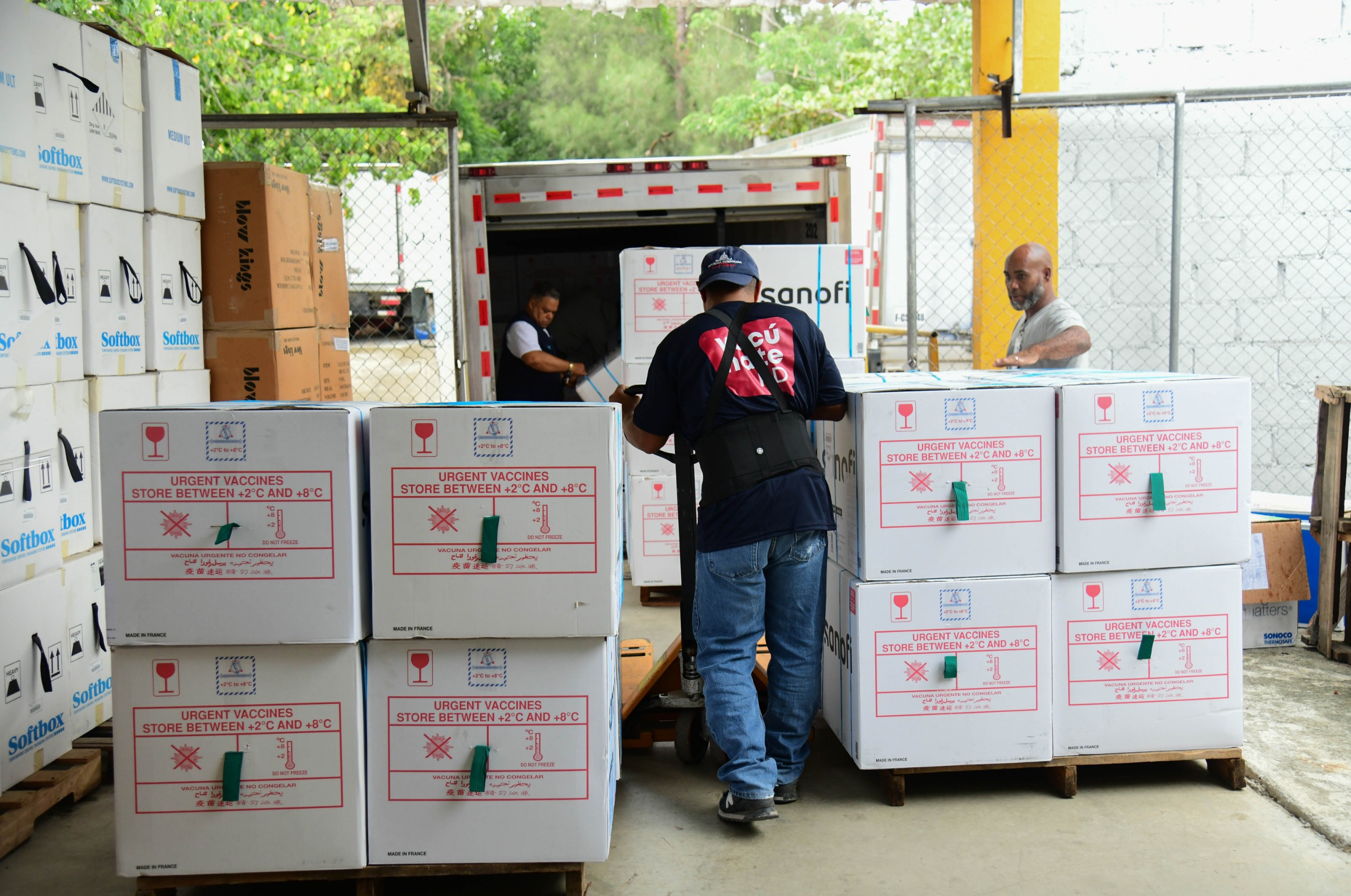 Ministerio de Salud recibe más de 300 mil dosis de vacuna hexavalente y 50 mil tetravalente acelular para fortalecer el esquema nacional de inmunización