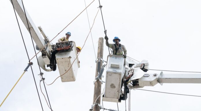 ETED fortalece la red de transmisión eléctrica con jornadas de mantenimiento preventivo y reemplazo de estructuras