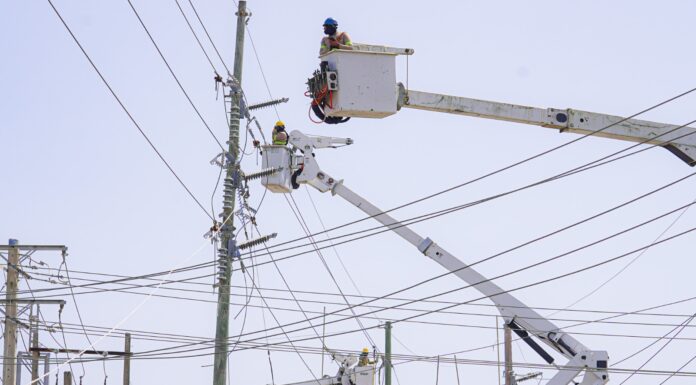 ETED avanza en la optimización de líneas de 69 kV mediante trabajos de renovación y mantenimiento