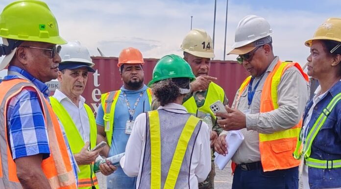 Agricultura incauta 66 toneladas métricas de insecticidas en el muelle de Haina