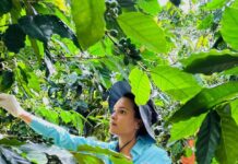 Agricultura beneficia a más de 4,700 mujeres rurales y fortalece su participación en el sector Agropecuario